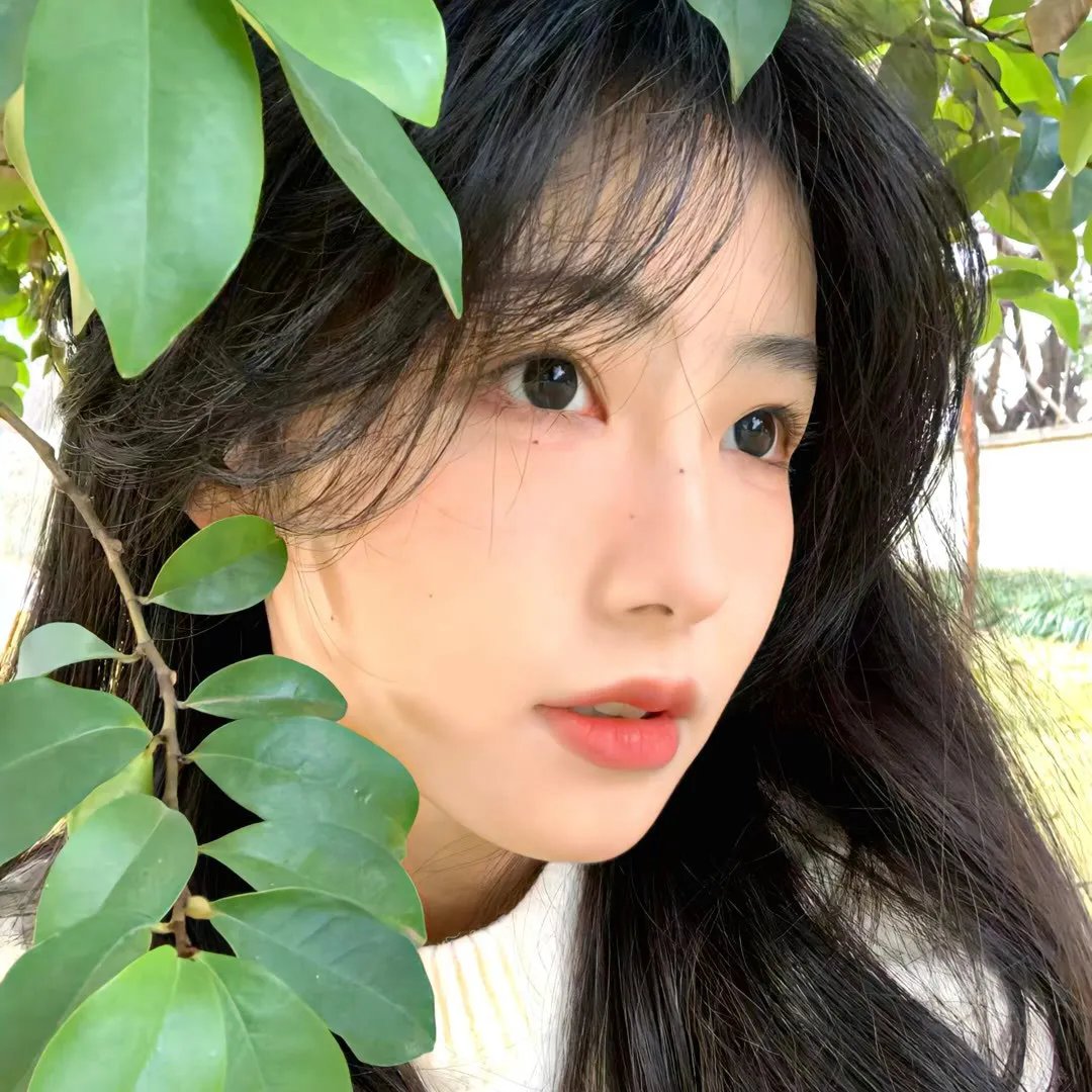 前程似锦