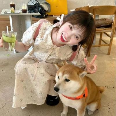 牛顿小子